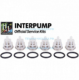 Ремкомплект Interpump Kit 123